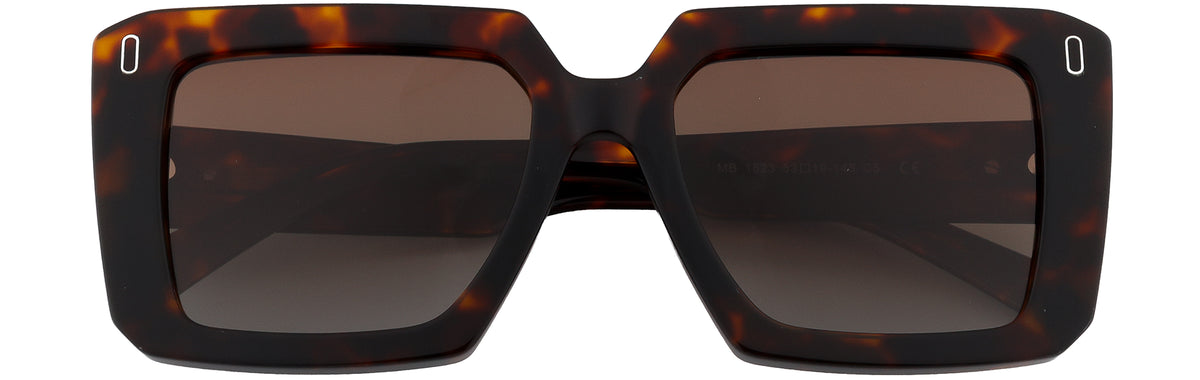 ST1523-C5-Handmade Bio Acetate-Tortoiseshell