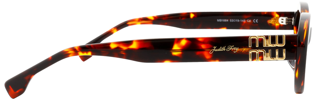 JF1664-C4-Handmade Bio Acetate-Tortoiseshell