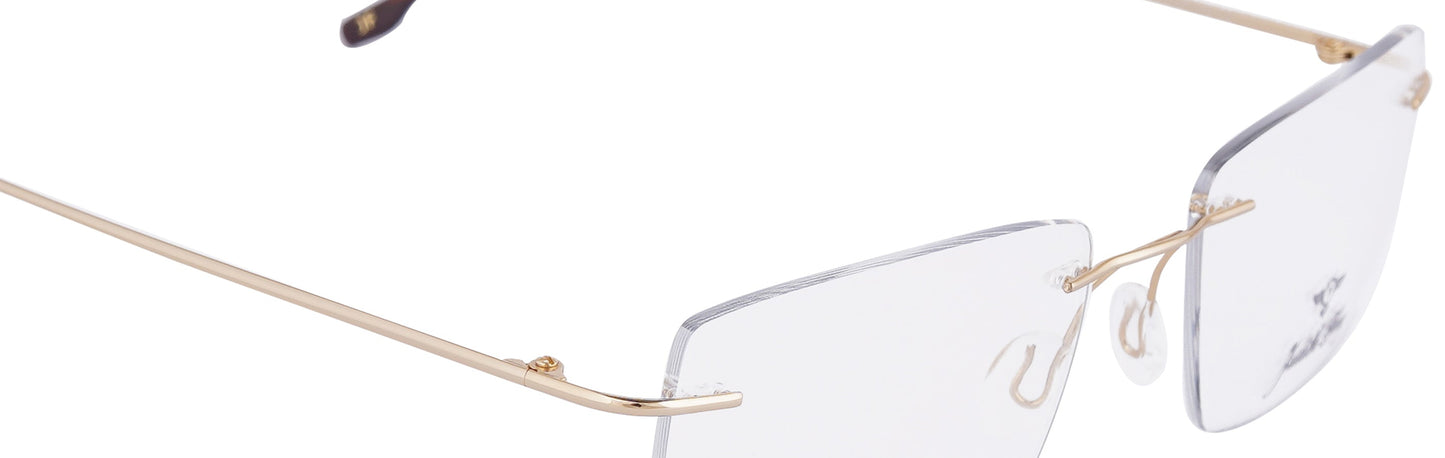 JFSD001 - C2 - Titanium - Golden - glassesbyahana.com