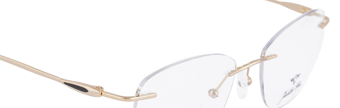 JFSD004 - C1 - Titanium - Antique Gold - glassesbyahana.com