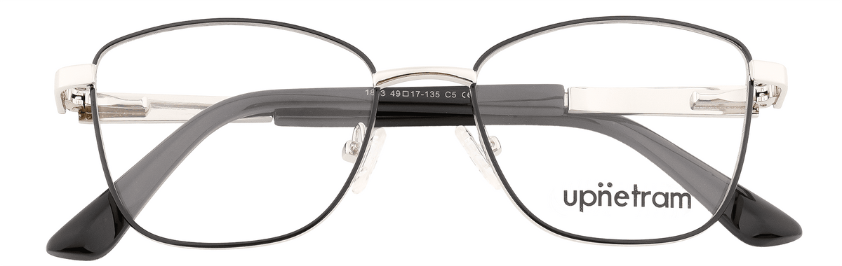 UP1803-C5-Metal Alloy-Polished Silver - glassesbyahana.com